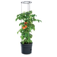 Tomatenturm aus Kunststoff, Ø ca. 29,5 cm / Höhe ca. 120 cm - Anthrazit