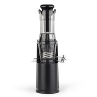 Entsafter Slow Juicer GSX16 Silber