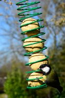 Meisenknödel 100 Stück a 90g Tierfutter Vogelfutter