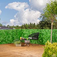 Sichtschutzhecke Labrusca 100x300cm