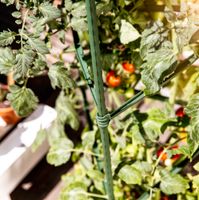 Tomaten-Rankturm 150x30 cm