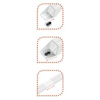 Spinnen-u. Insektenfänger Easycatch
