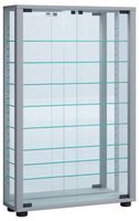 Wandvitrine "Vitrosa Mini" mit Spiegel Silber