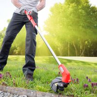 2 in 1 Rasentrimmer 12V