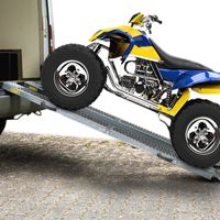 Auffahrrampe 400kg klappbar 171x45x23cm 2er Set