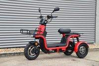 ARI 145 Elektroroller Lastenmoped E-Roller inkl. Speditionskosten & vor Ort Einweisung