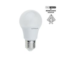 LED Leuchtmittel mit Dämmerungs und Bewegungs-Sensor, E27