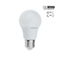 LED Leuchtmittel mit Dämmerungs-Sensor, E27
