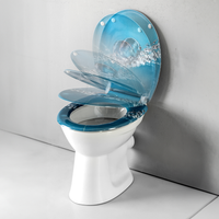 Duroplast WC-Sitz