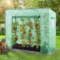 Tomatengewächshaus mit 1 Tor und 2 Fenster, ca. 200 x 77 x 169/148 cm