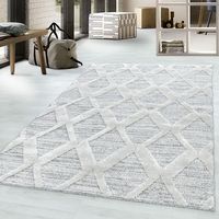 Teppich, PISA 4703, GREY, 80 x 150 cm