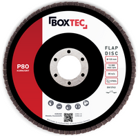 Fächerscheiben BRAUN 125mm Lamellenscheiben Schleifscheiben für Metall &amp; Holz 10er Pack P80