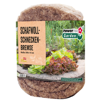Schneckenbremse