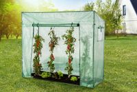 Tomatengewächshaus mit 1 Tor und 2 Fenster, ca. 200 x 77 x 149/169 cm