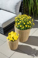2er-Set Blumentopf aus Stahl mit Kunststofftopf - Braun