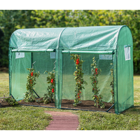 Tomatengewächshaus mit 2 Toren und 4 Fenstern, ca. 300 x 100 x 200 cm - Grün