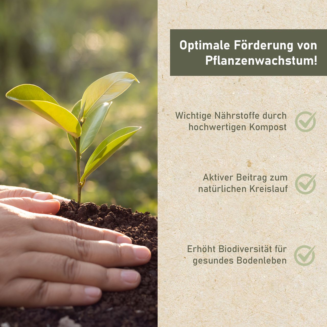 Miniaturansicht des Produkts