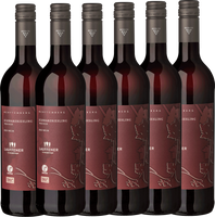 Lauffener ECOVIN Schwarzriesling trocken QbA 0,75l - 6er Karton