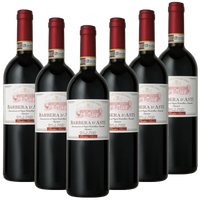 Barbera Asti Superiore DOCG Italien trocken