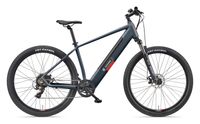 Telefunken MTB E-Bike Mountainbike M921 29 Zoll Hinterradmotor 7-Gang Kettenschaltung, granitgrau