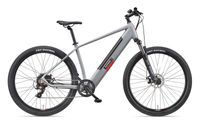 Telefunken MTB E-Bike Mountainbike M921 29 Zoll Hinterradmotor 7-Gang Kettenschaltung, aluminiumgrau