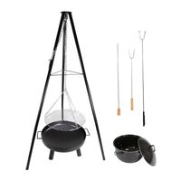 Schwenkgrill mit Feuerschale, 52 cm großer Grillrost