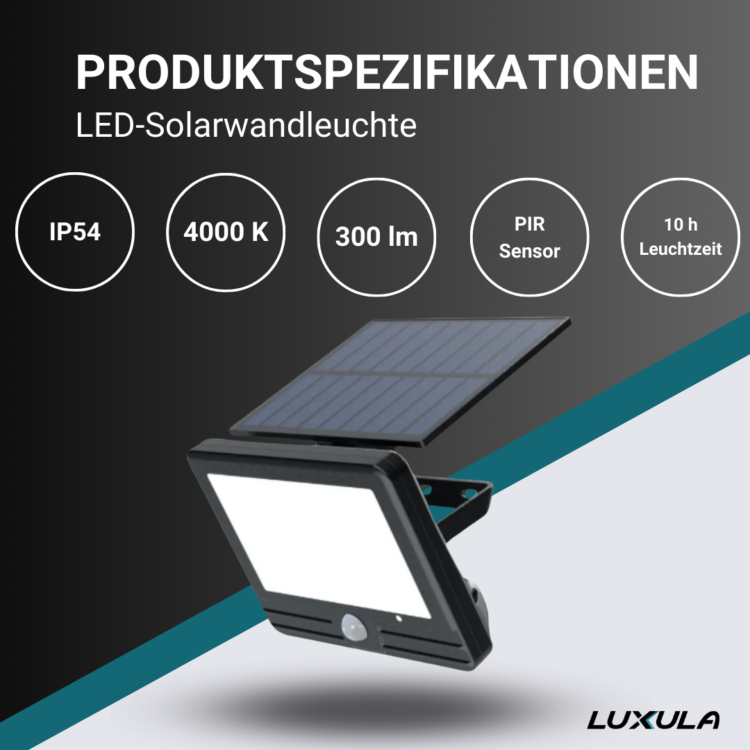 Miniaturansicht des Produkts