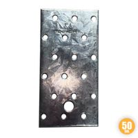 Perforierte Lochplatte 60 x 120 x 2,0 mm
