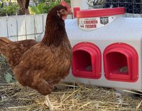 Futterautomat OverEZ Chicken Coop für 20 kg Futter