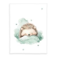 babybest Kleiner Igel Microfaserflausch-Decke Größe 75x100 cm