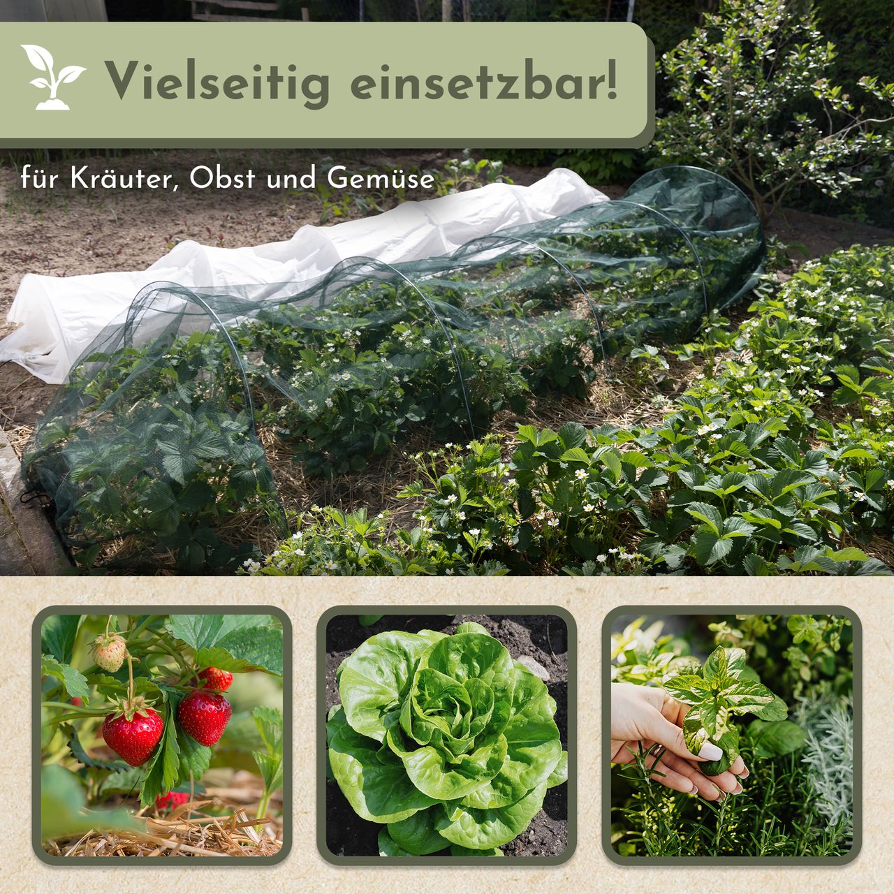 Miniaturansicht des Produkts