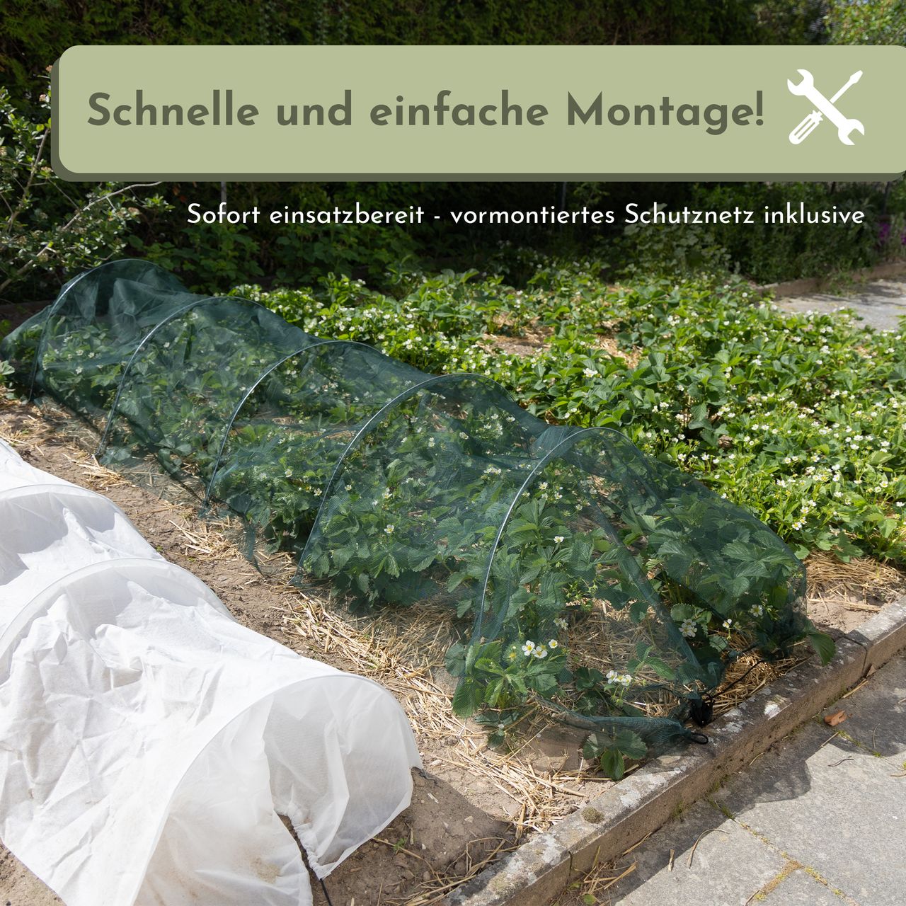 Miniaturansicht des Produkts