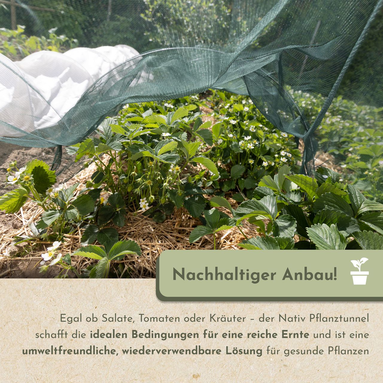 Miniaturansicht des Produkts