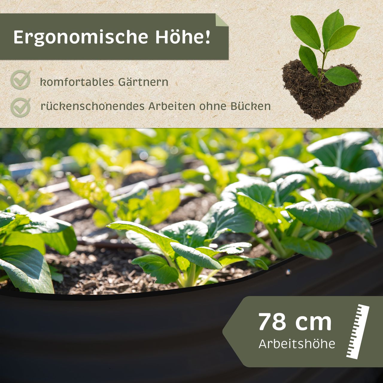 Miniaturansicht des Produkts