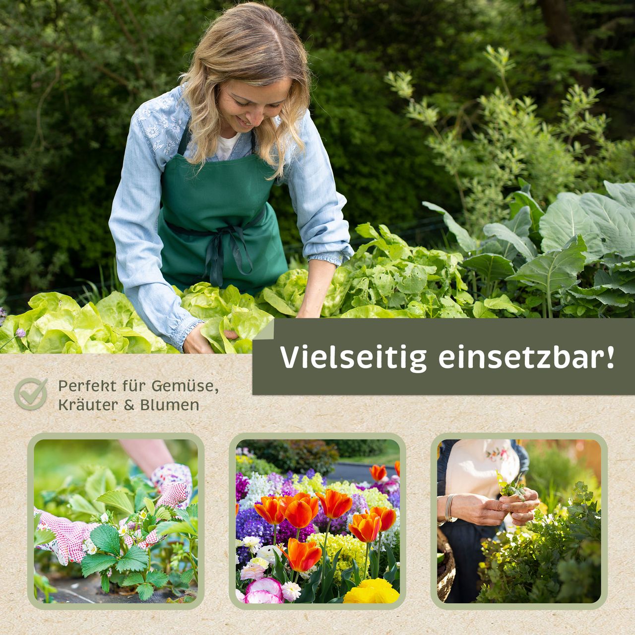 Miniaturansicht des Produkts
