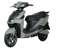 E-Motorroller e-Adler 45 kmh, dunkelguen, 1 Akku, mit Top Case und Alarmanlage, GT Union
