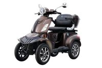 DENNIS 4.0 - 25 KM/H Blei Braun