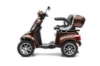 DENNIS 4.0 - 25 KM/H Lithium Braun