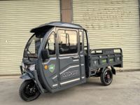 3 Rad Elektro GREEN-SPEED cargo "Grand Extra" Pritsche Kipper APE Runner Lastendreirad 25/45 kmh