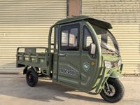 3 Rad Elektro GREEN-SPEED cargo "Grand Extra" Pritsche Kipper APE Runner Lastendreirad 25/45 kmh