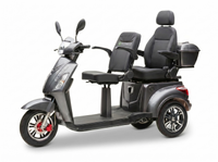 E-Seniorenmobil Billy 2.0, Lithium-Akku, 3-Rad, 1000 Watt, Komfort-Sitz, Grau