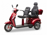 E-Seniorenmobil Billy 2.0, Blei-Akku, 3-Rad, 1000 Watt, Komfort-Sitz, Grau