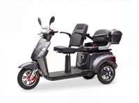 E-Seniorenmobil Billy 2.0, Blei-Akku, 3-Rad, 1000 Watt, Grau