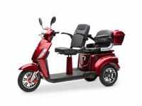 E-Seniorenmobil Billy 2.0, Blei-Akku, 3-Rad, 1000 Watt, Grau