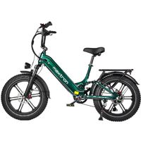 Maxtron Camel Off-road E-Bike,HR-Nabenmotor,SHIMANO 7-Gang,hydr.Scheibenbremse,grün