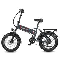 Maxtron Polaris Falt E-Bike,HR-Nabenmotor,SHIMANO 7-Gang,mech.Scheibenbremse,dunkelgrau
