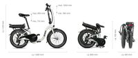 Faltbares E Bike Emmi Tiefeinsteiger