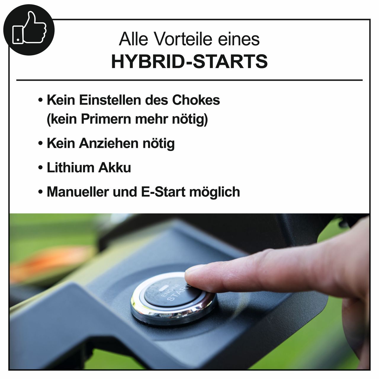 Miniaturansicht des Produkts