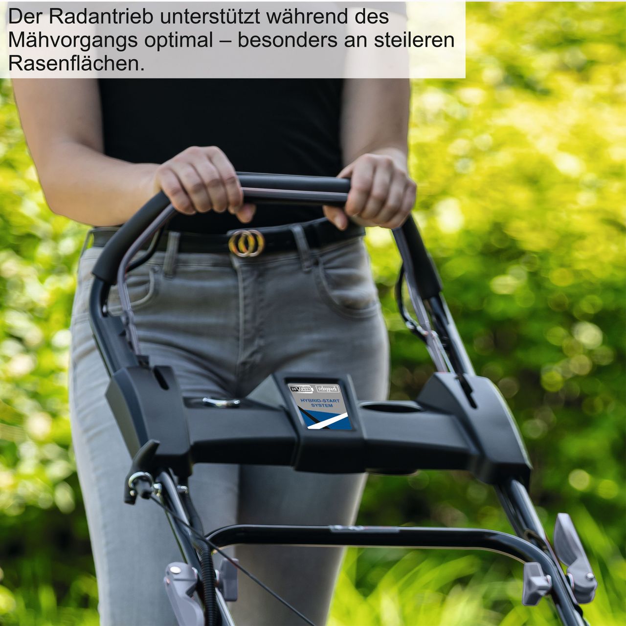 Miniaturansicht des Produkts