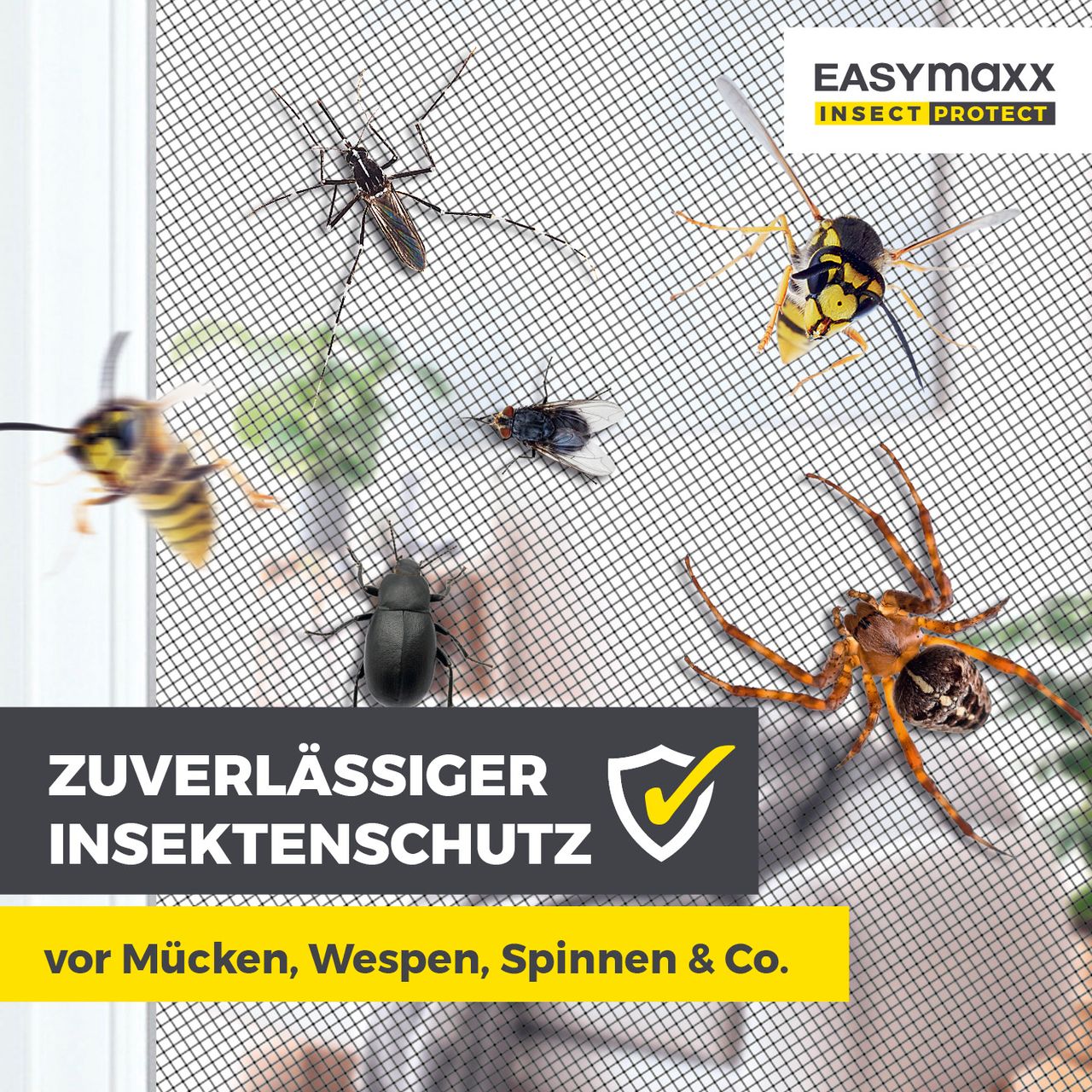 Miniaturansicht des Produkts